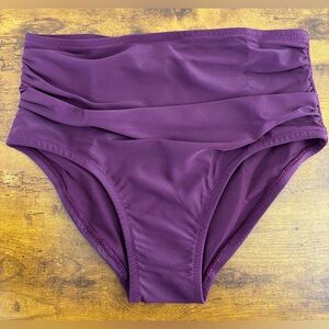 NWT Universal Standard Deep Pansy Purple The Bikini Brief Women's 3XS (2-4 / S)